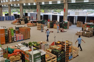 Tecnologia e profissionalismo