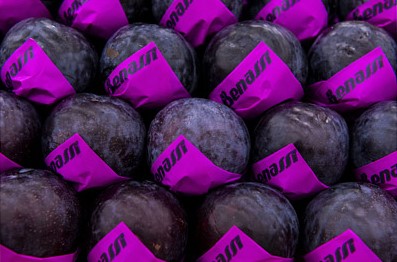 Além do Estado de São Paulo